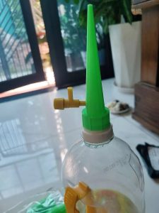 review